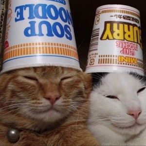 Meet your Posher, Destiny